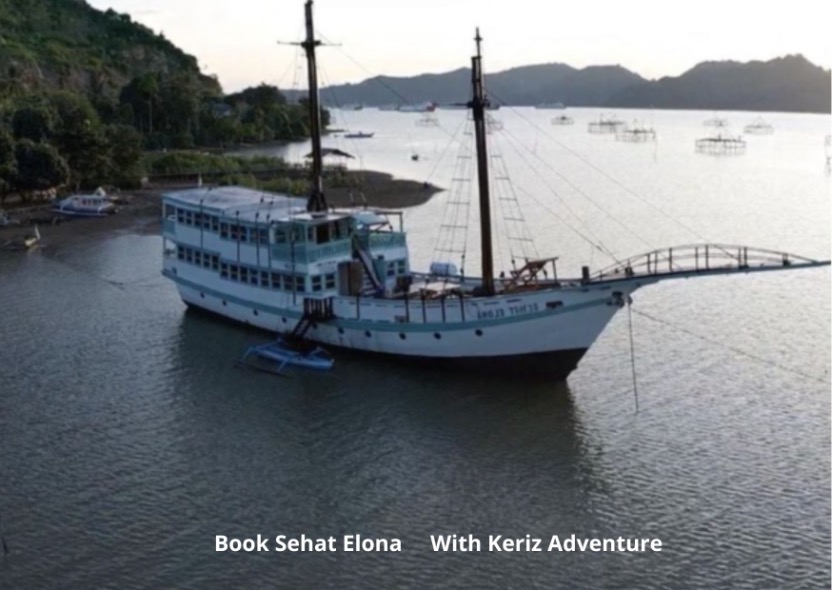 Sehat Elona Luxury Komodo Cruise